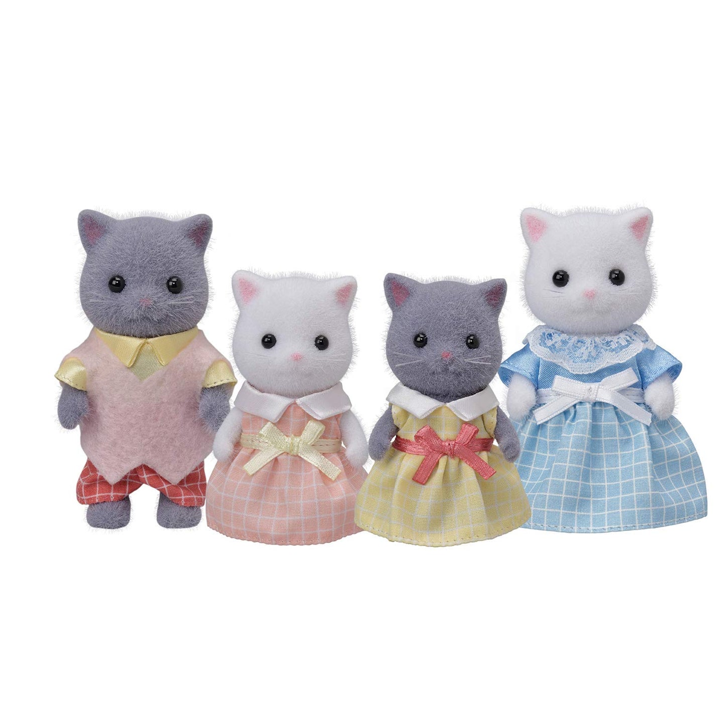 Ternurines - Familia de gatos persa